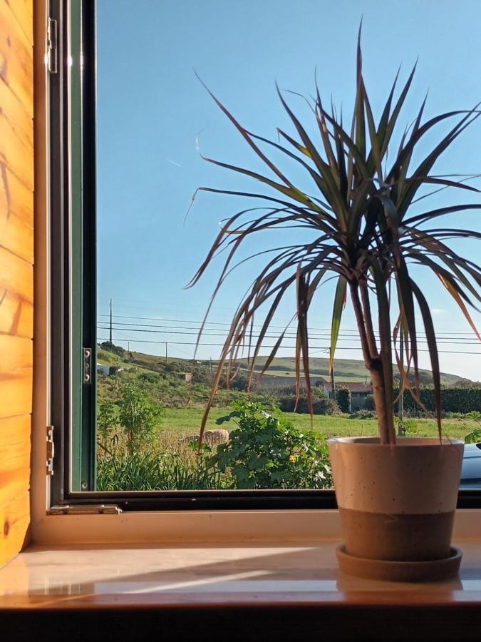 Roots Cozy House Raposeira Villa Raposeira  Esterno foto